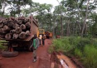 RDC : 500 camions transportant du bois rouge bloqués en Zambie