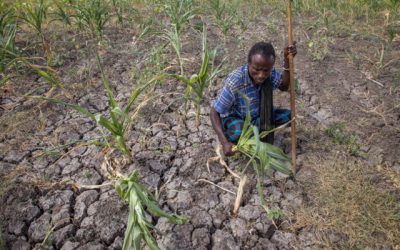 Éthiopie: La sécheresse menace la sécurité alimentaire