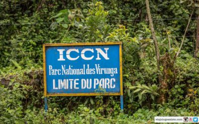 RDC :  Pose de la clôture électrique du Parc national des Virunga