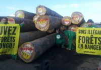 RDC : Greenpeace contre l’exploitation forestière dans trois provinces
