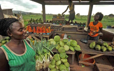 RDC : Le marché de Lufu, un véritable chemin de la croix pour les opérateurs économiques